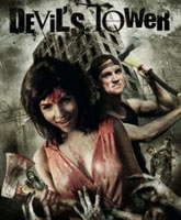 Devil's Tower /  
